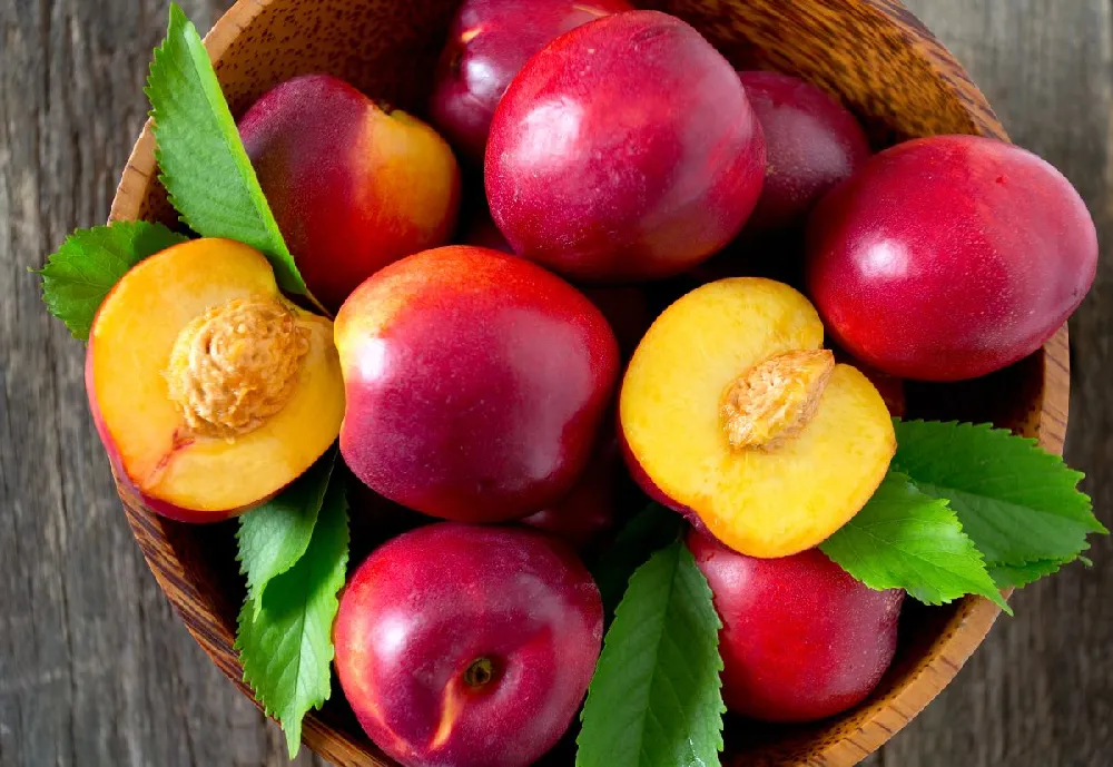 Red Gold Nectarine