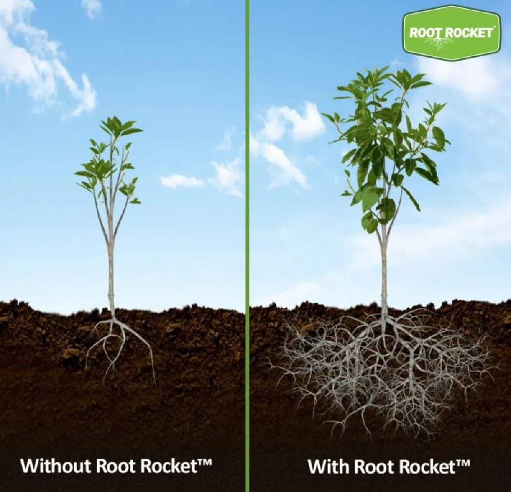 Root Rocket® Fertilizer