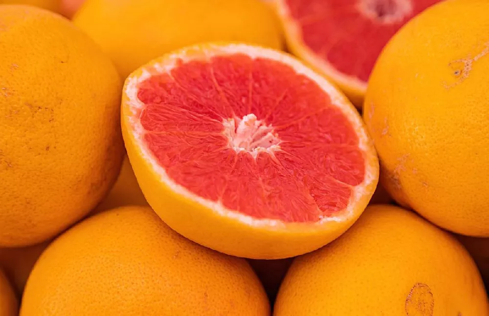 Ruby Red Grapefruit