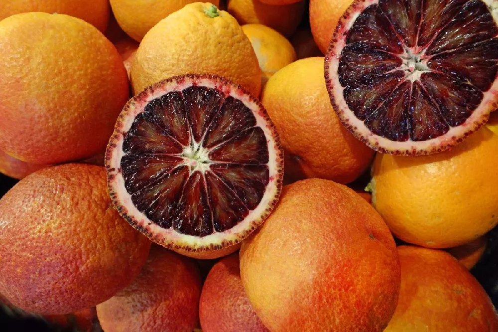 Sanguinelli Blood Orange