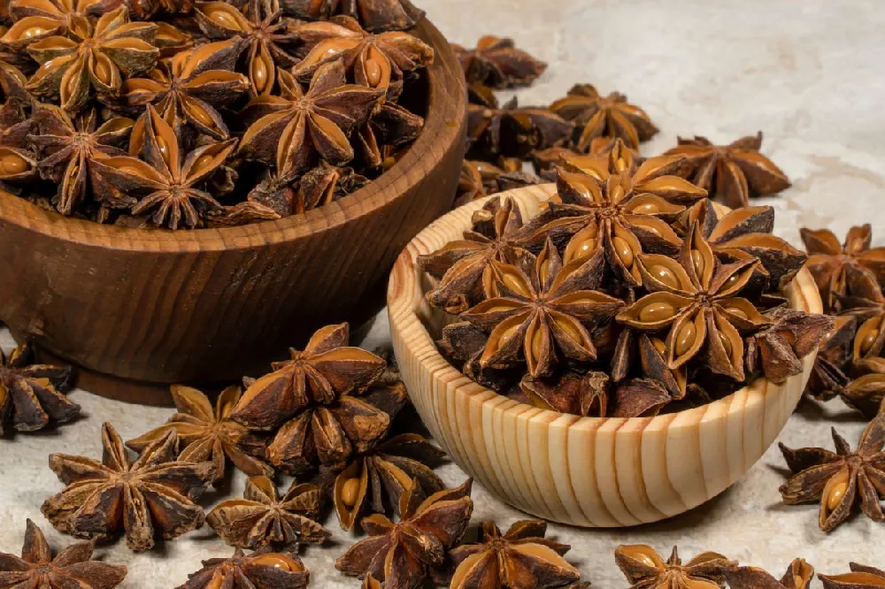 Star Anise Plant