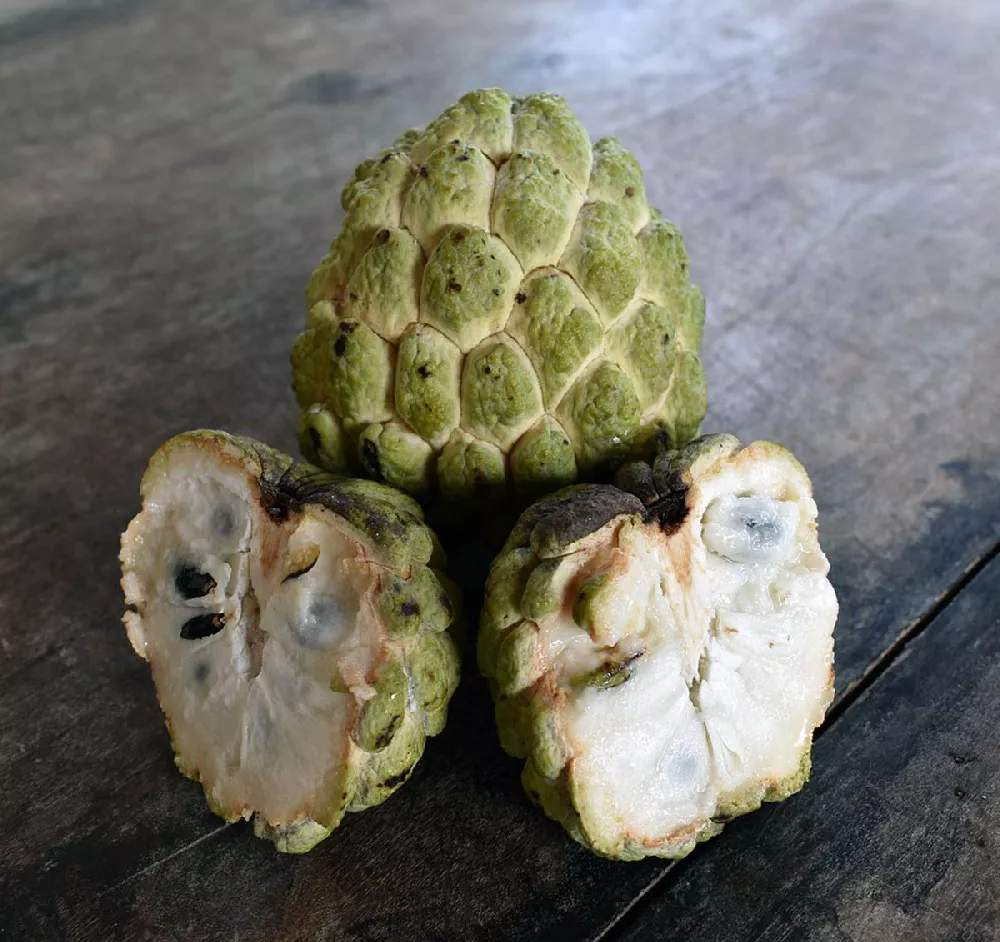 Sugar Apple Tree fruit