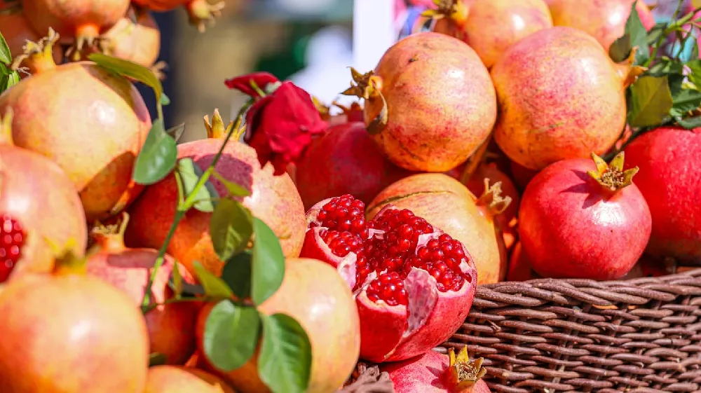 Sweet Pomegranate Tree fruits