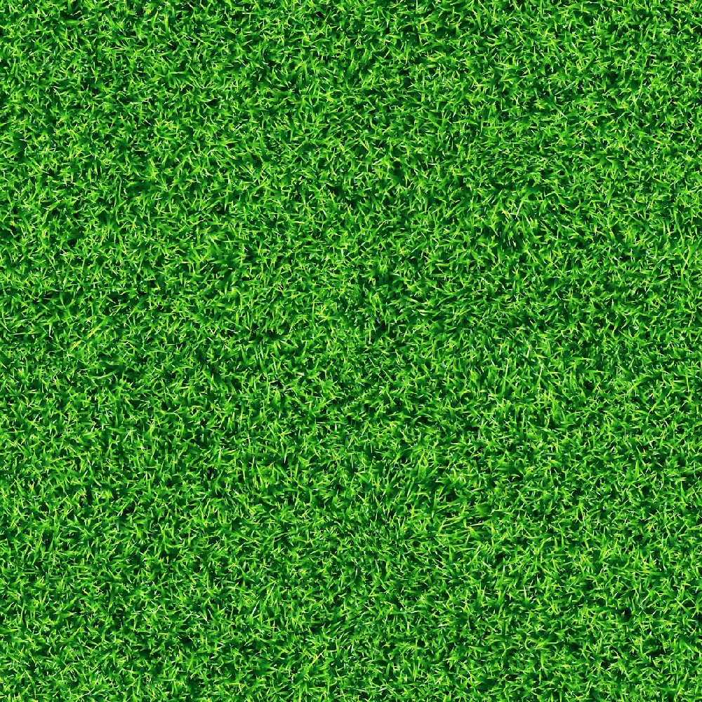 TurboTurf™ Bermudagrass Seed