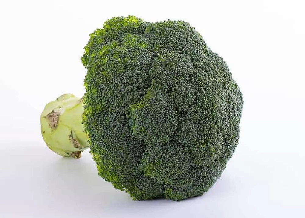 Typical Broccoli