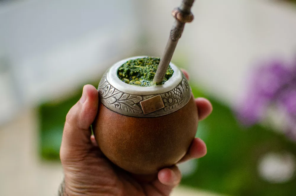 YERBA MATE