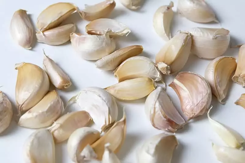 40 small and Medium size Garlic cloves garlic clove Hardy Bulb/clove 