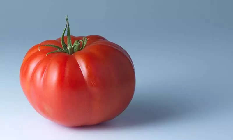 Marmande Tomatoes