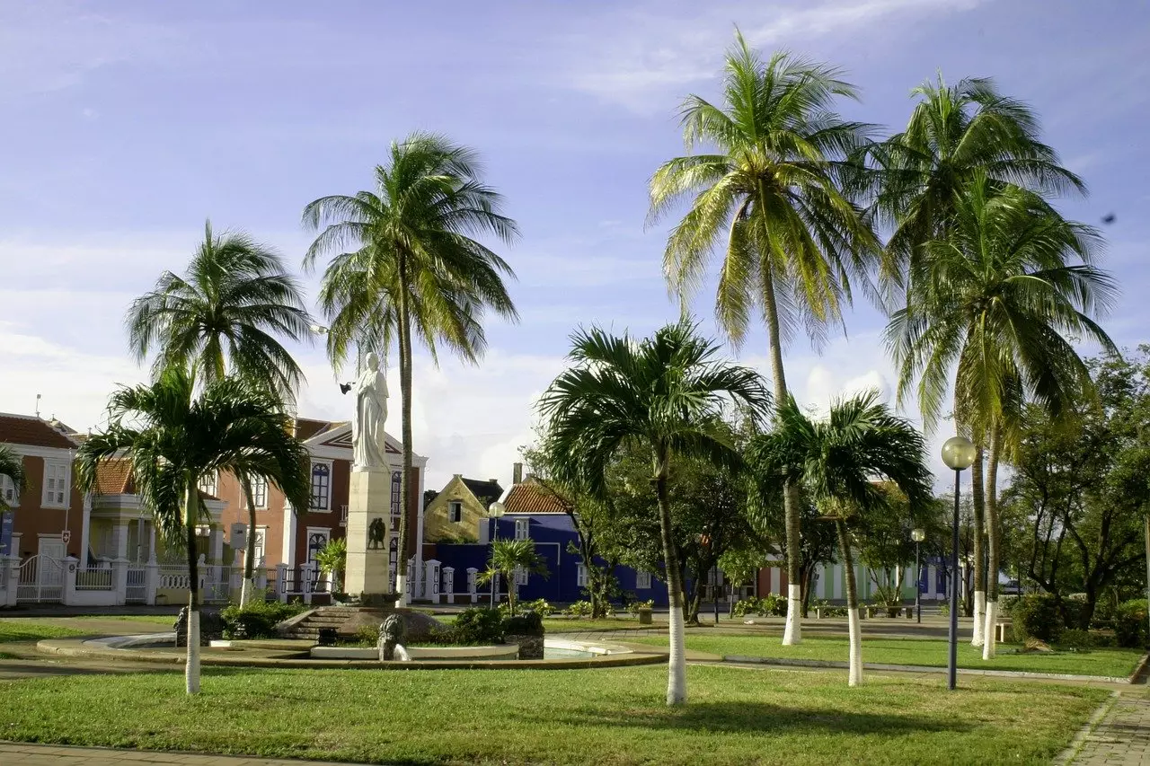 QueenPalm1