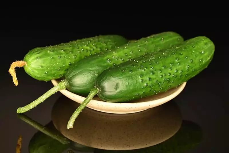 Straight Eight Cucumbers